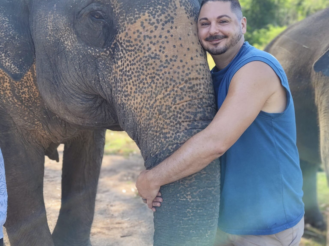 The Lake Phuket Elephant Home-Thep Krasatti必去景点