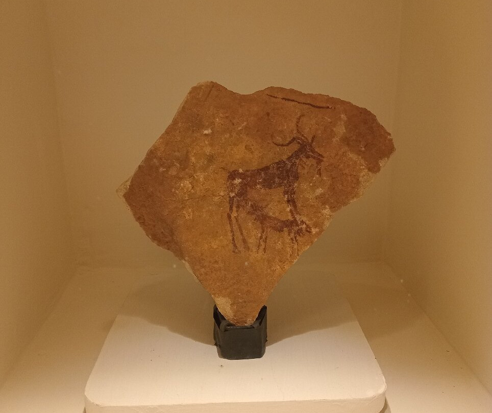 Musée Public National Bardo-阿尔及尔必去景点