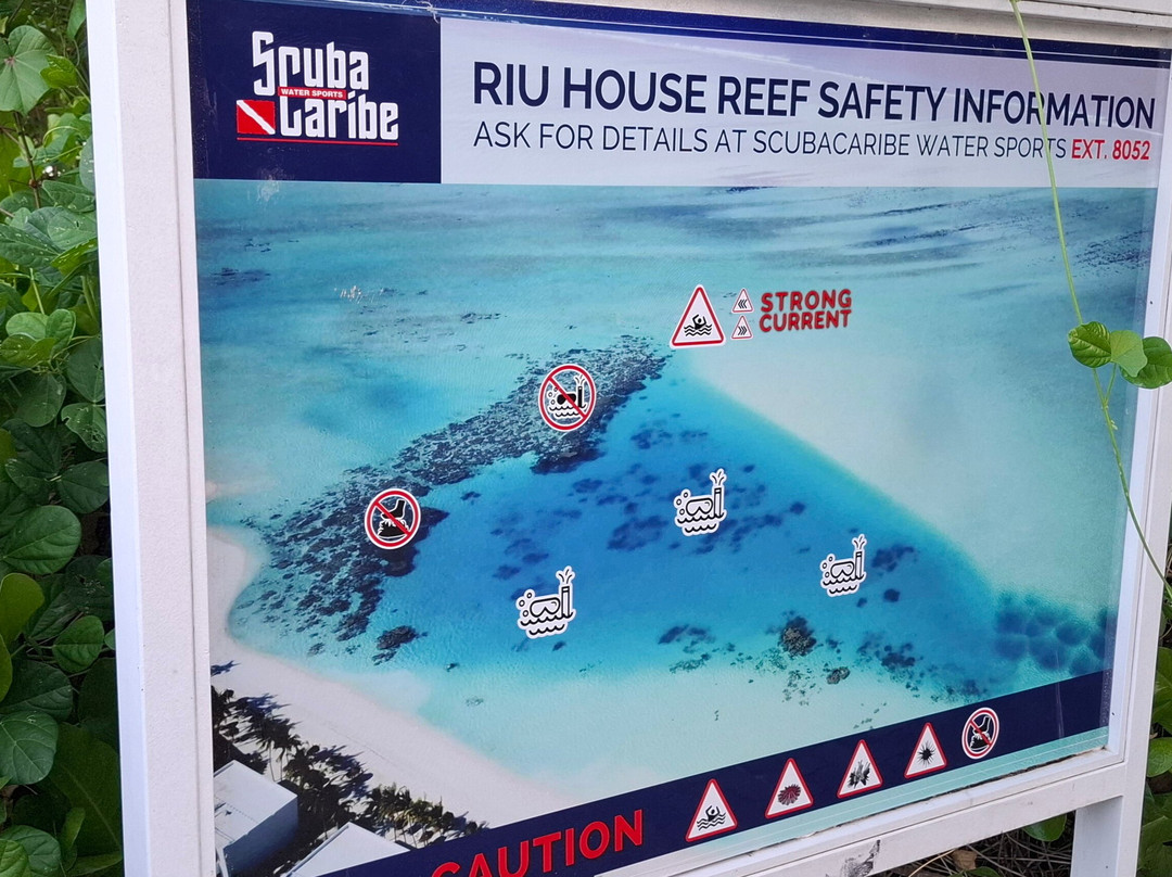 Riu Atoll House Reef-Gadifuri必去景点