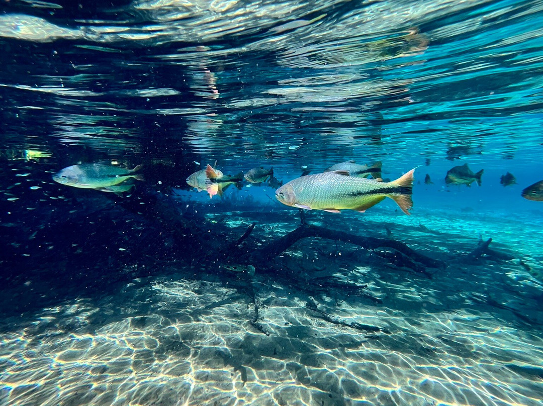 Rio da Prata-南马托格罗索州必去景点