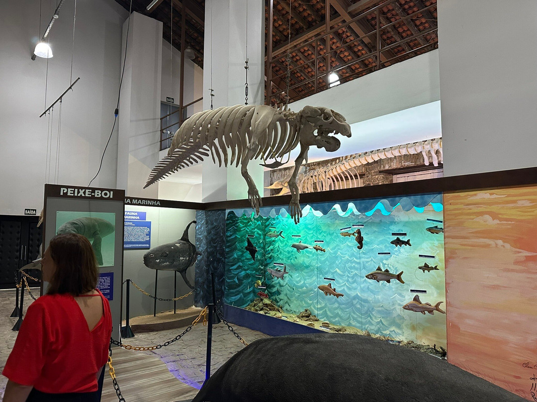 Museu Do Mar Delta Do Phb-Parnaiba必去景点