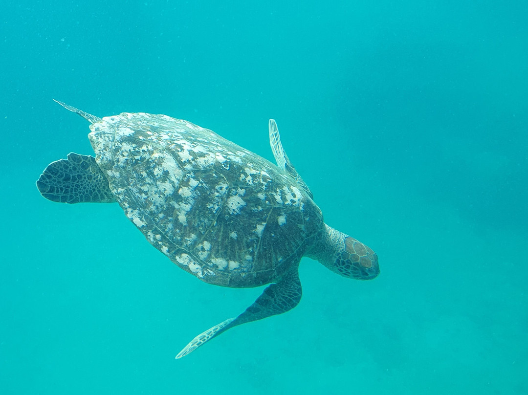 View Ningaloo-埃克斯茅斯必去景点