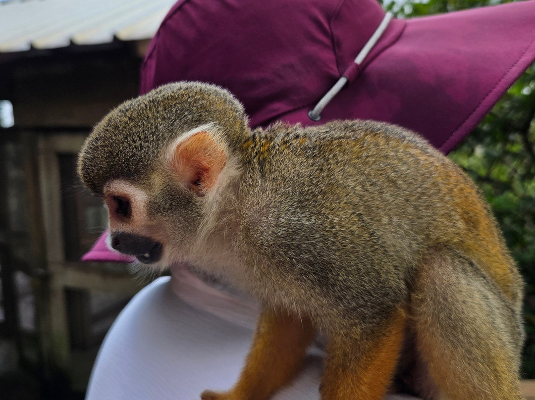 Runners Adventures-Las Galeras必去景点