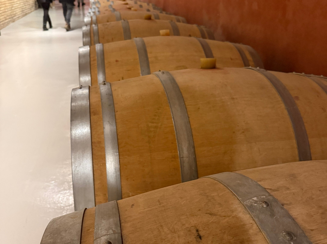 Bodegas Franco Espanolas-洛格罗尼奥必去景点