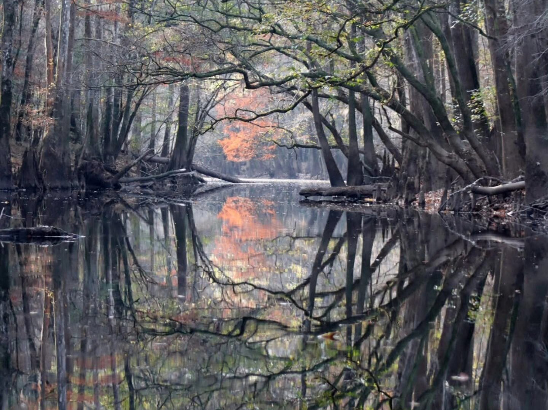 Carolina Outdoor Adventures-厄莫必去景点