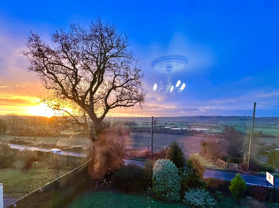 Little Orchard Bed & Breakfast主图