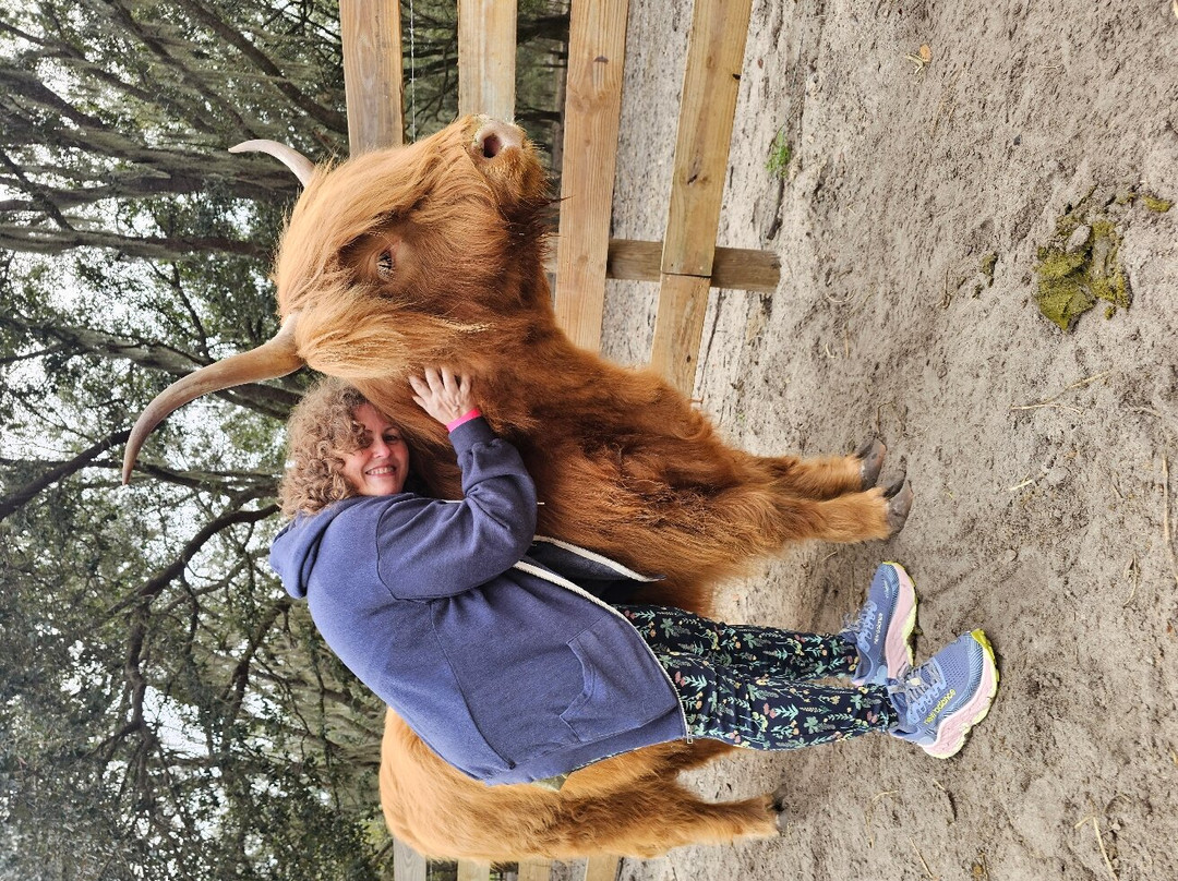 Whispering Oaks Miniature Ranch-Clermont必去景点