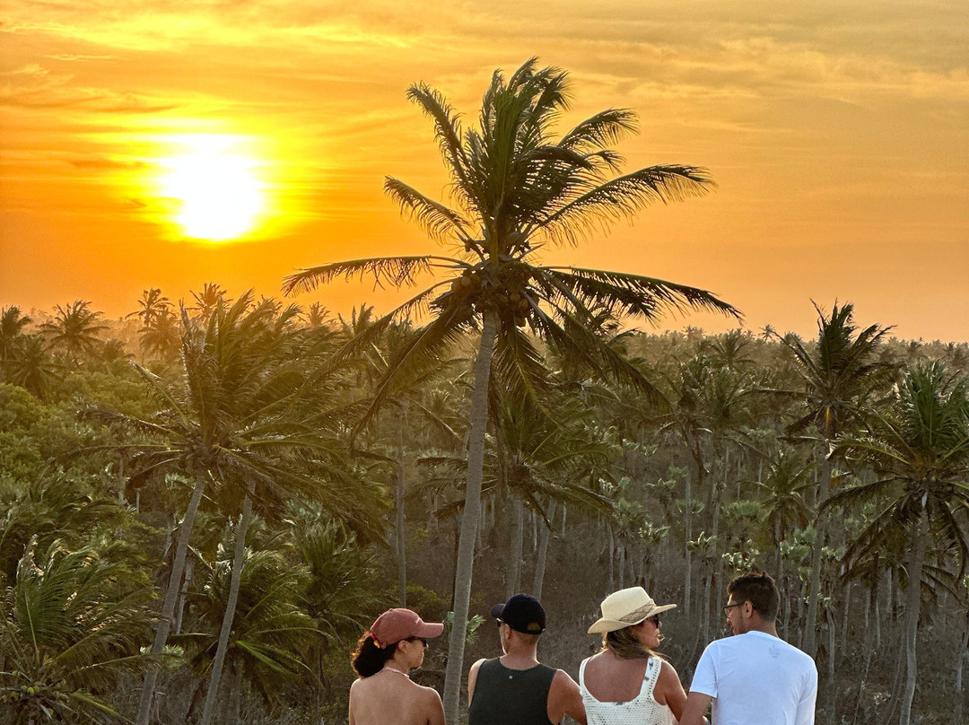 Evaldo Tur-杰里科科拉必去景点