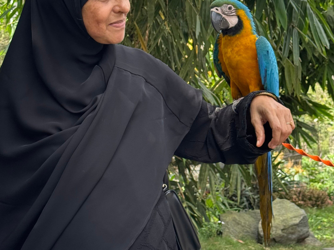 Komachi Park-Mananthavady必去景点