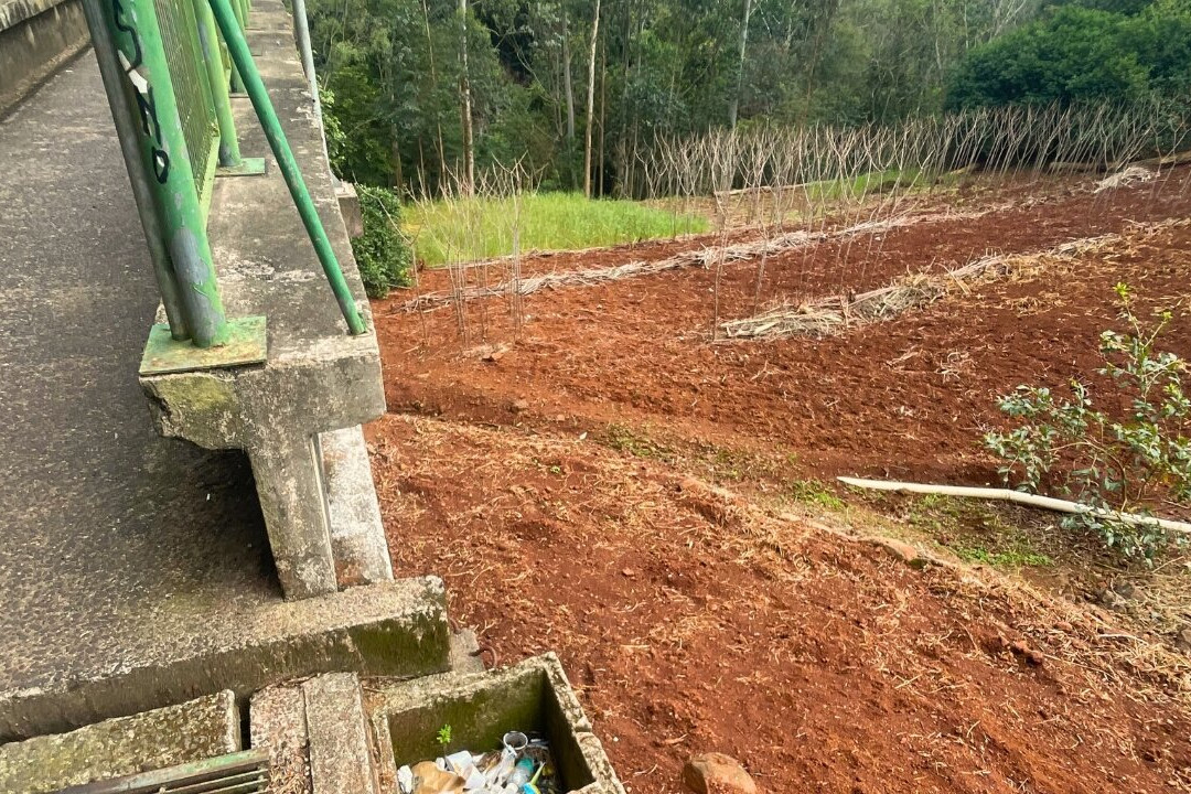 Cascata da Passarela (Dois Irmãos)-Dois Irmaos必去景点