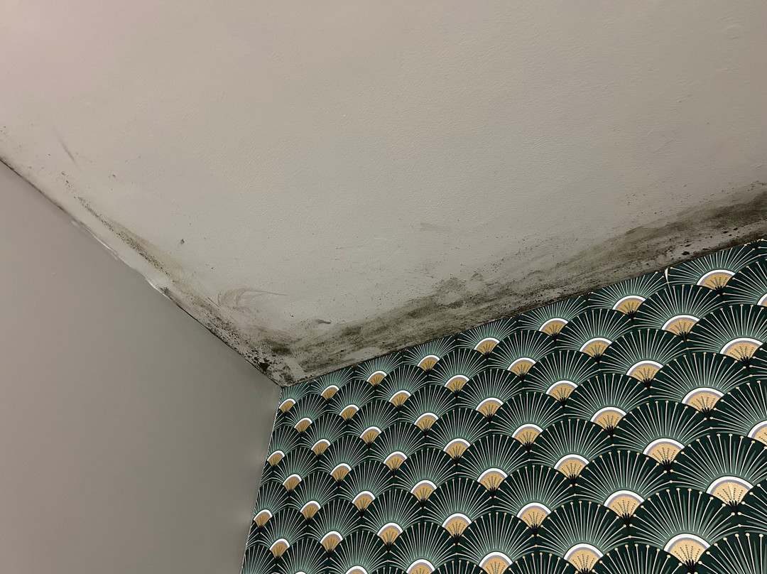 Holidays & Work Hotel主图