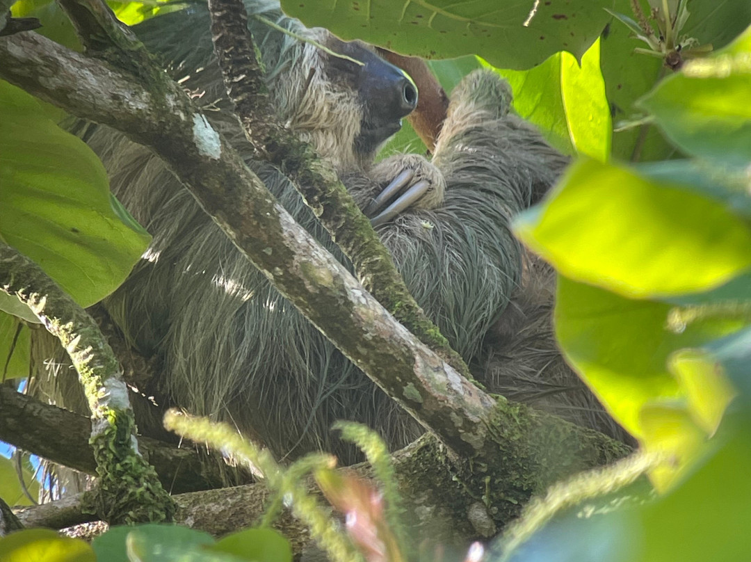 Ficus Tours-希门尼斯港必去景点