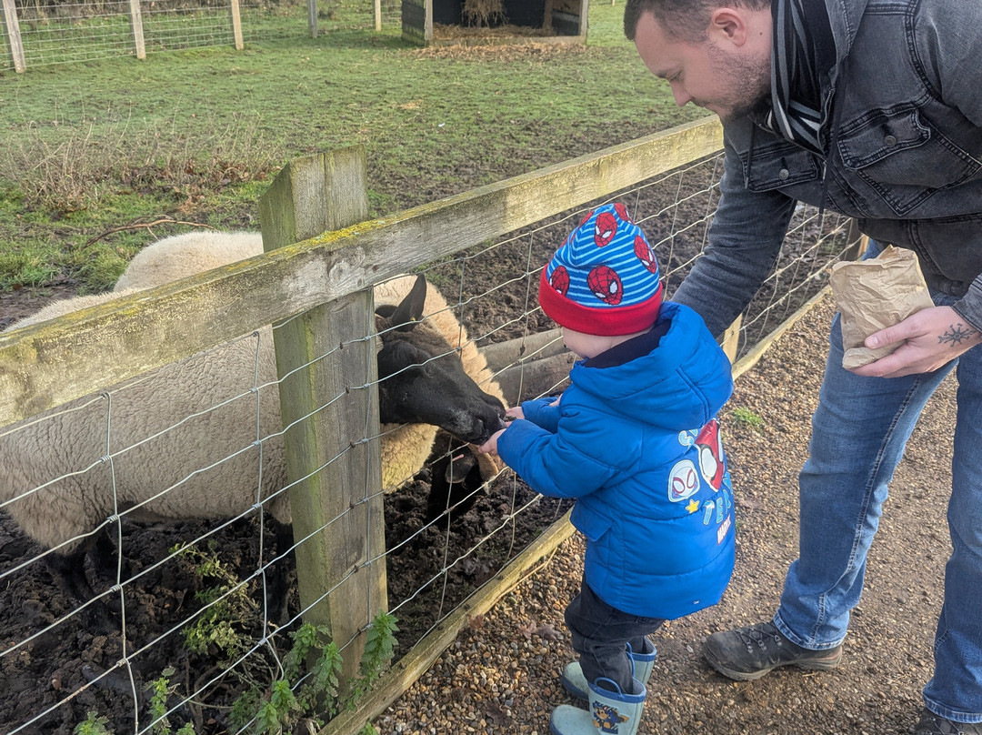 Wroxham Barns-Hoveton必去景点