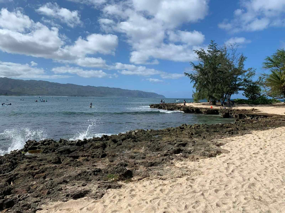 Kevo's Beach Bus-火奴鲁鲁必去景点