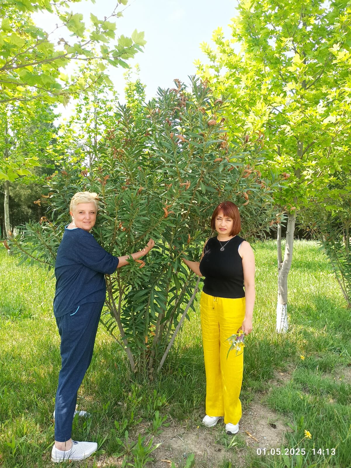 Gashalti Health Hotel-官方