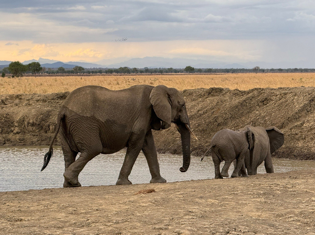 Kima Adventures-Dar es Salaam必去景点