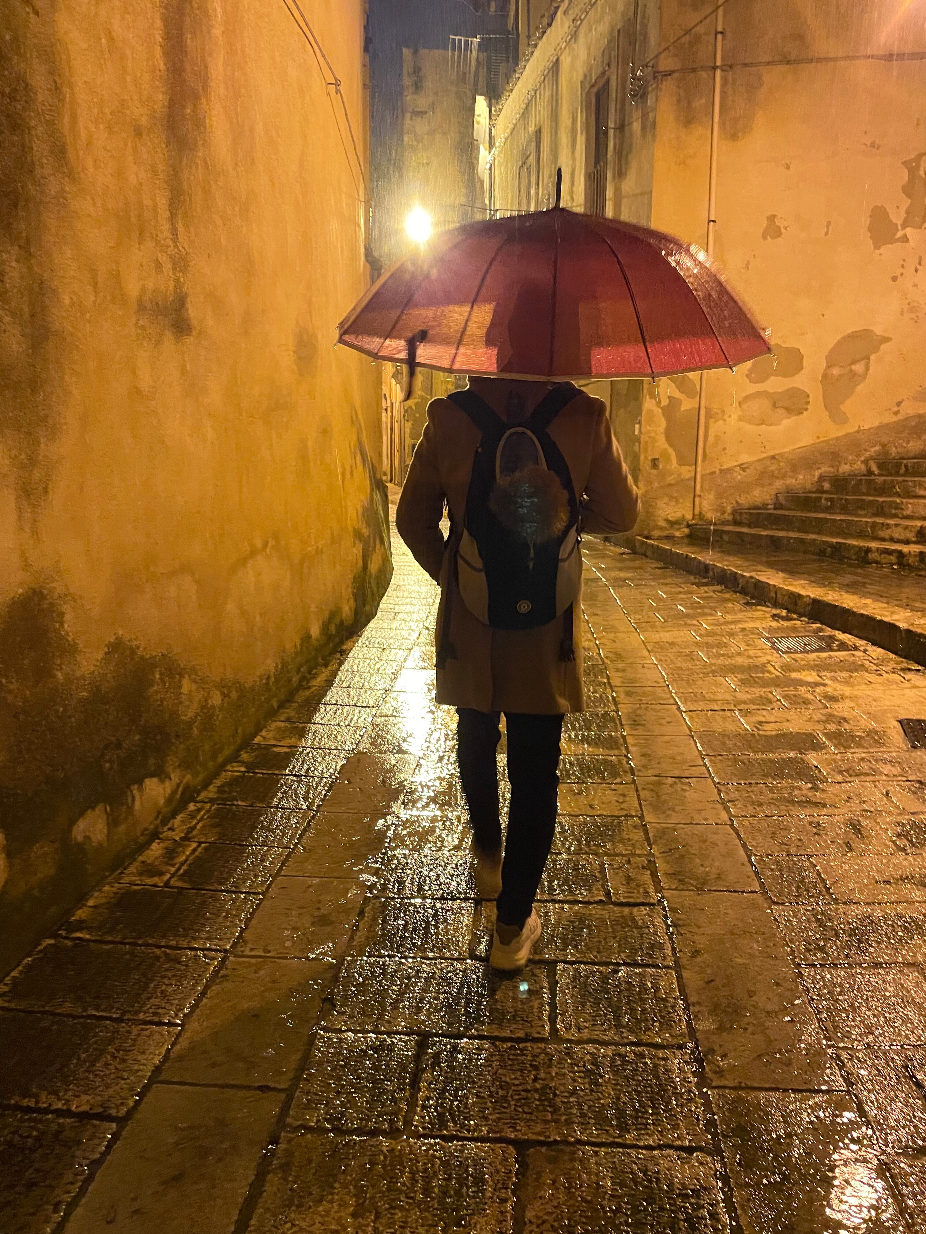 San Giorgio Palace Hotel-官方