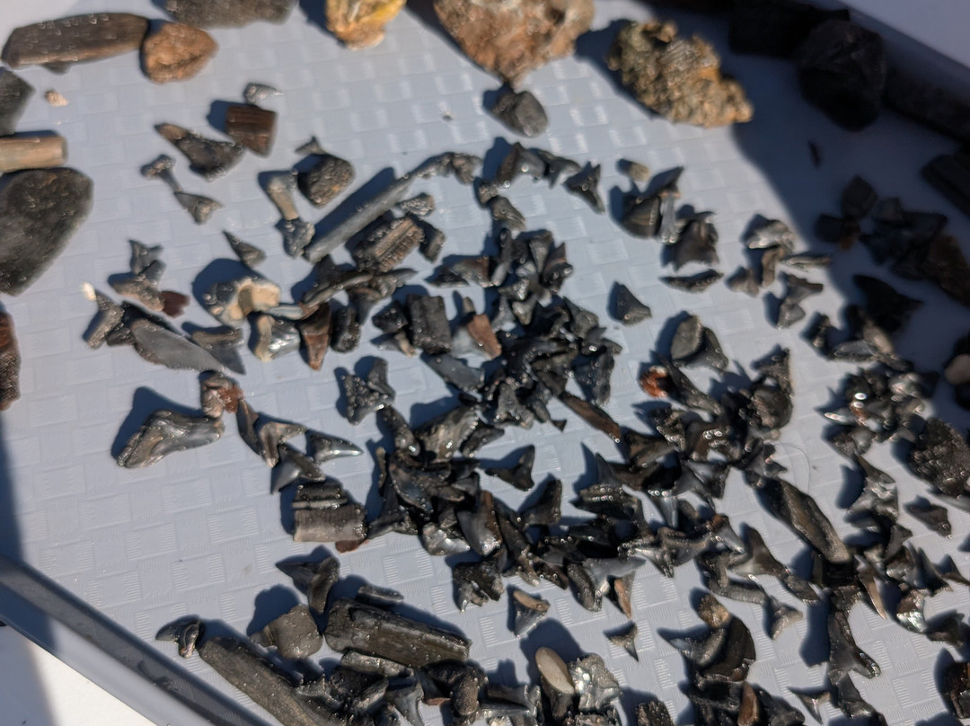 Peace Paleo Adventures-Wauchula必去景点