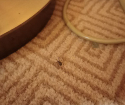 莫斯科列宁格勒希尔顿酒店主图