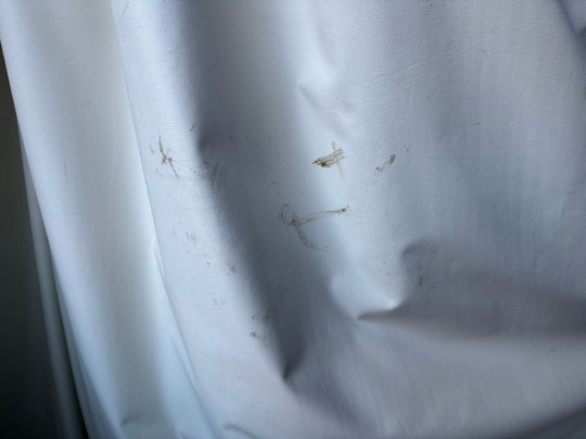 假日切斯特南部酒店主图