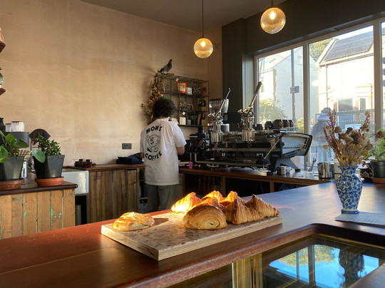 The One With The Pigeon