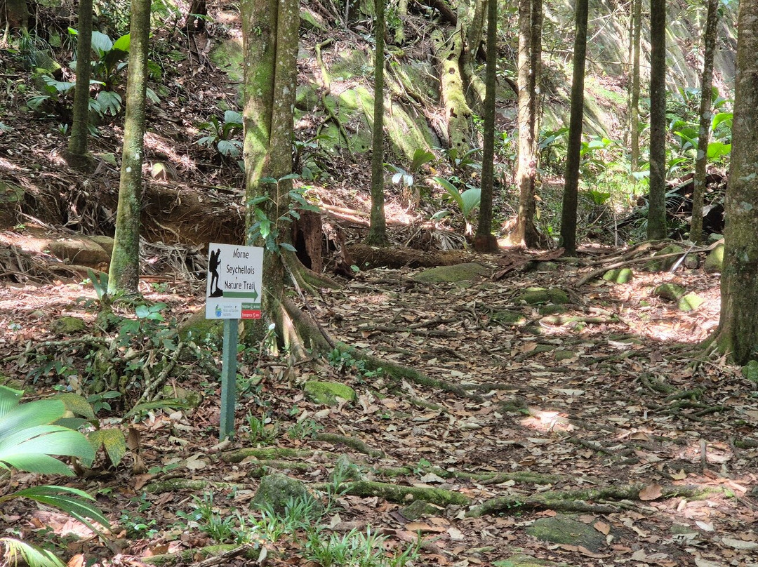 Morne Seychellos National Park-维多利亚必去景点