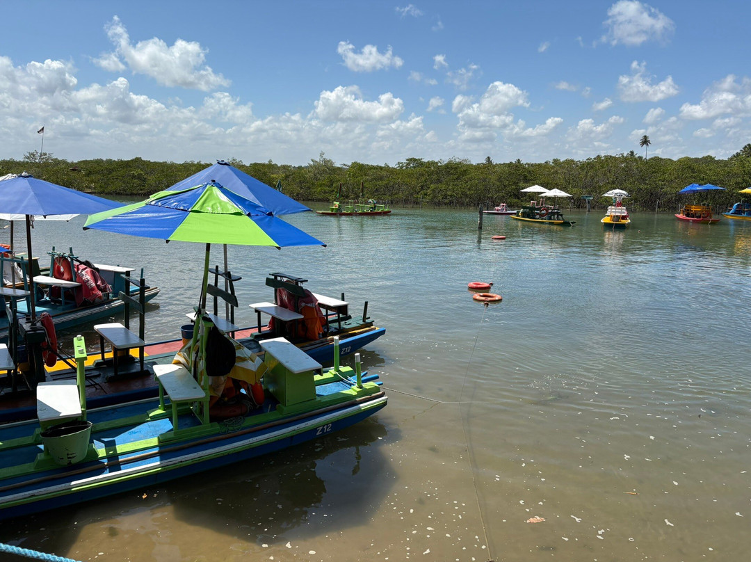 Passeio de buggy Porto de Galinhas-嘎林海斯港必去景点