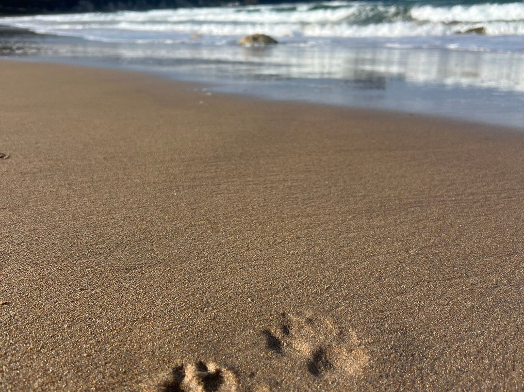 White Park Bay-Ballintoy必去景点