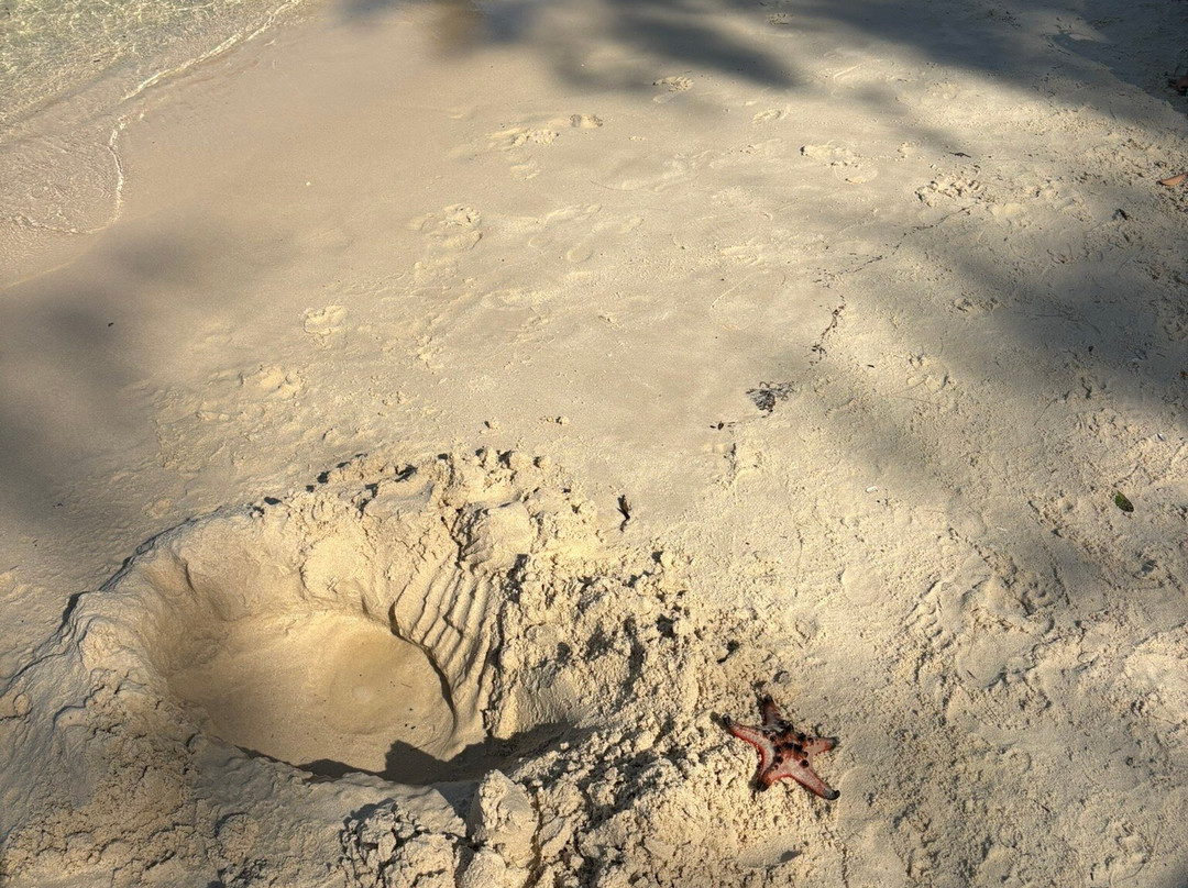 海星沙灘-Ganh Dau必去景点