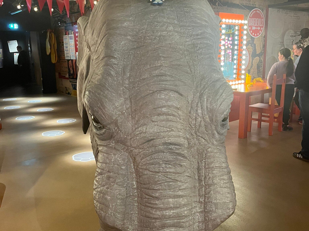 Showtown Blackpool-黑潭必去景点