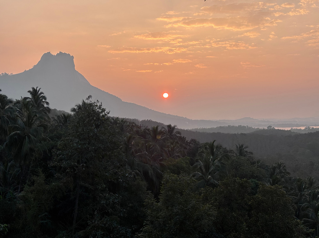 The Tree Organic Farm & Stay