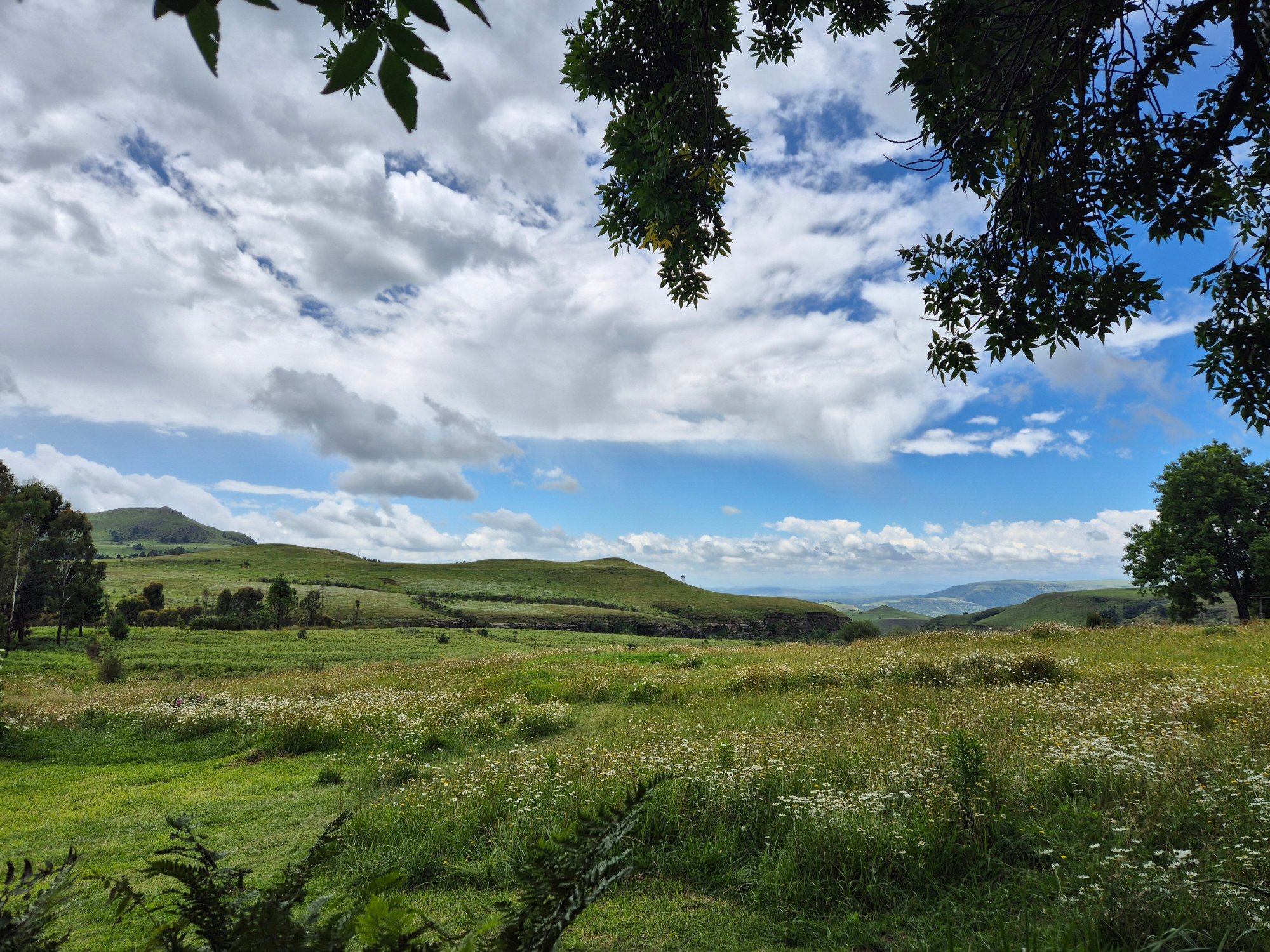 Rawdons Hotel & Estate-官方