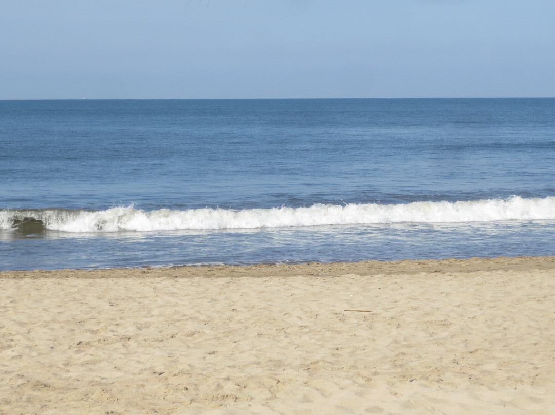 Taheima Condominios主图