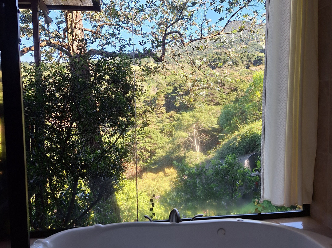 Finca Paraiso Mountain Retreat主图