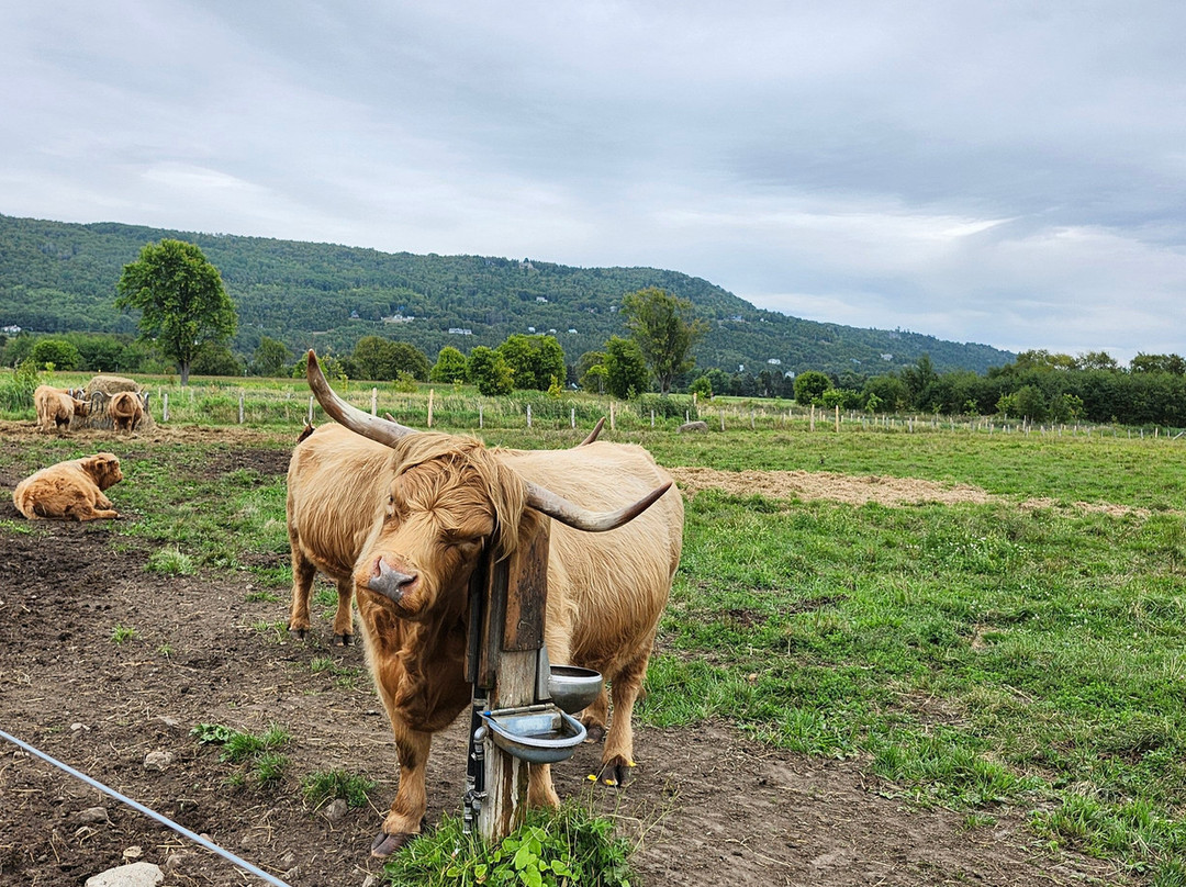 Route du Fleuve-Baie-St-Paul必去景点