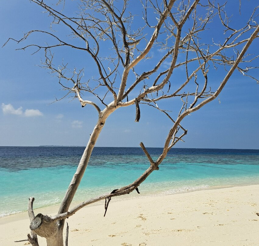 Papa Fish Excursions-乌库拉斯必去景点