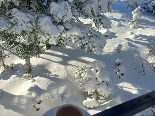 Fahri Hotel Uludağ主图