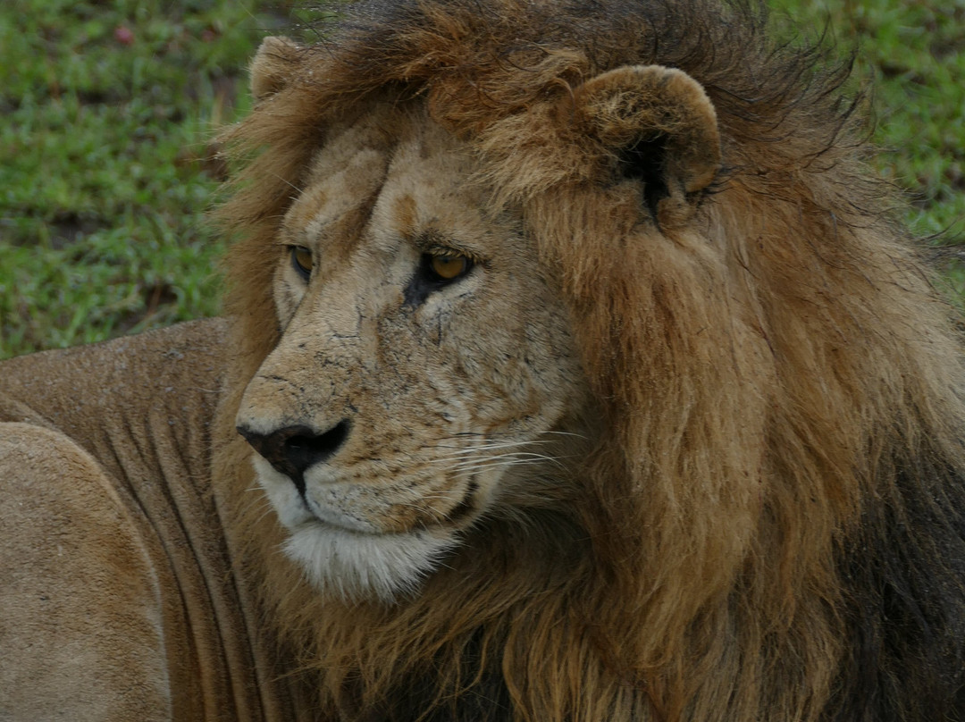 Great Escape Trails-莫西必去景点