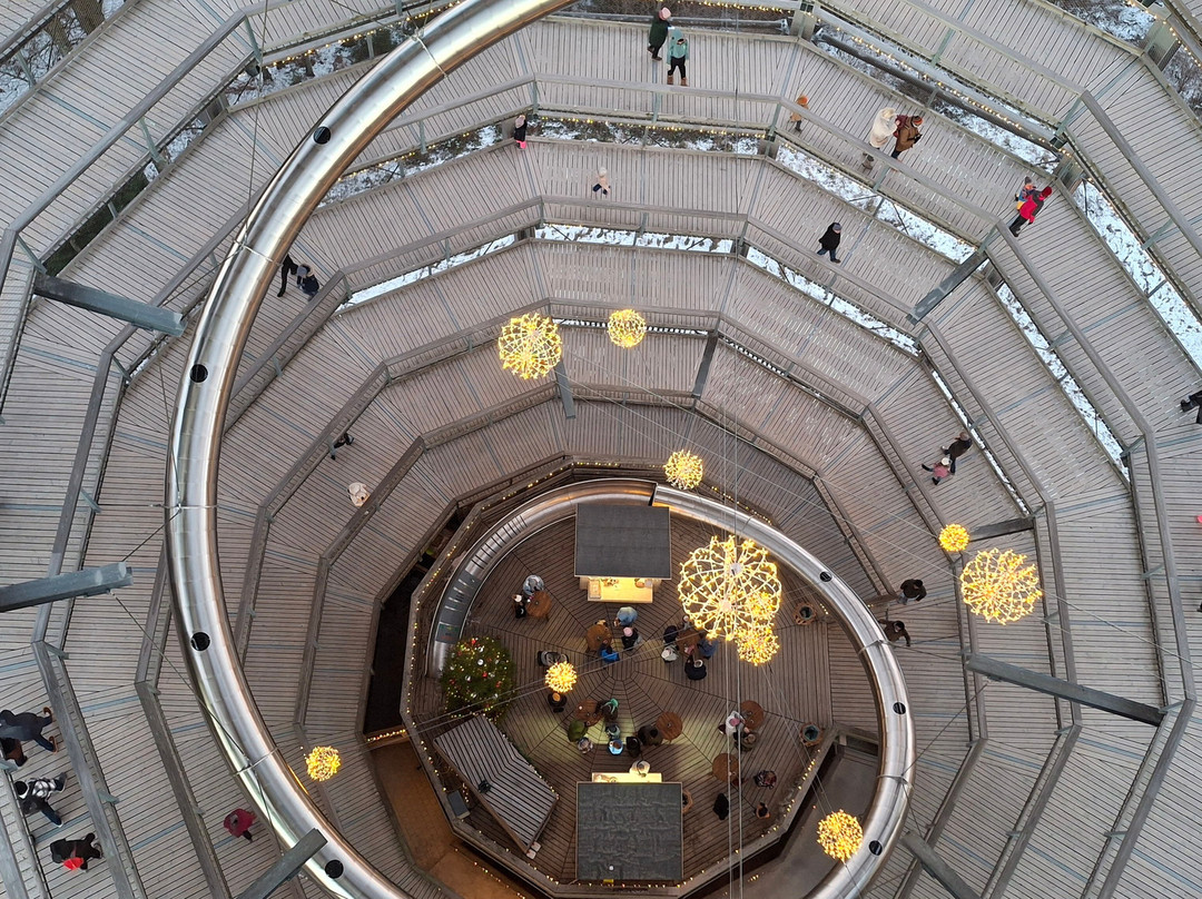 Baumwipfelpfad Salzkammergut-葛姆登必去景点