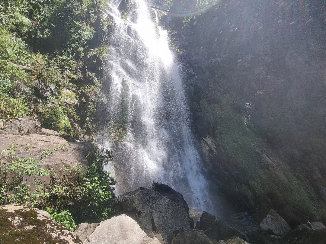 Reserva Biologica Juan Millanao-Panguipulli必去景点