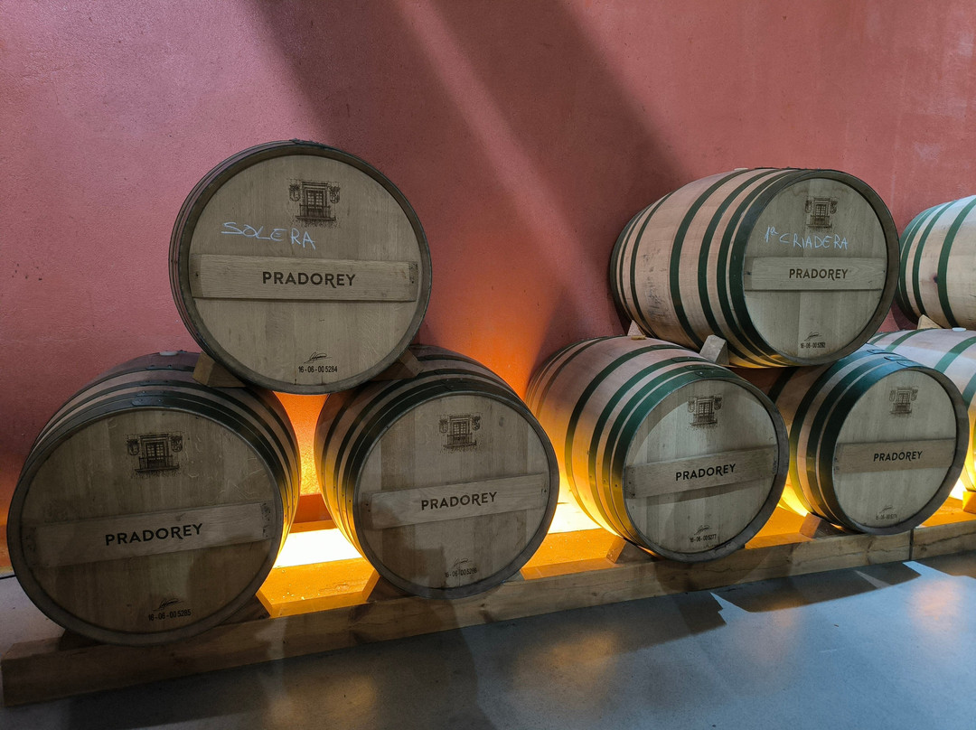 Bodegas Y Vinedos PradoRey-Gumiel Del Mercado必去景点