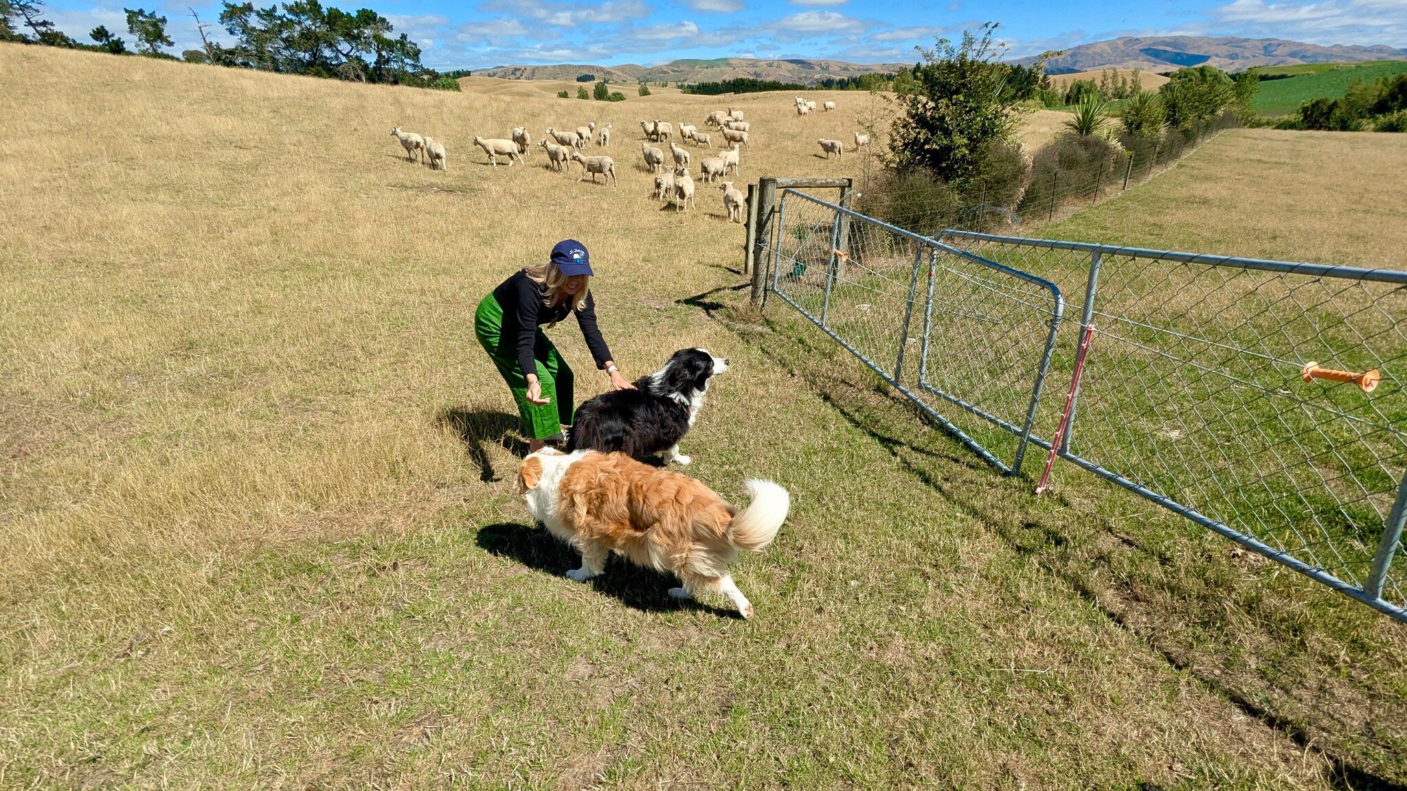 Ribbonwood Country House-官方