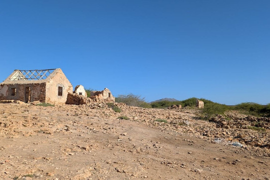 Boa Vista Tours-博阿维斯塔必去景点