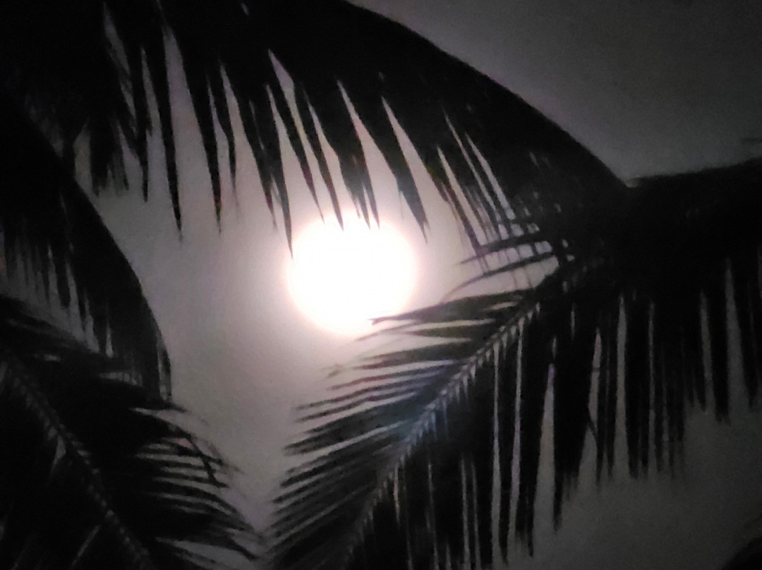 V Travel Sri-Lanka Excursions-科斯戈德必去景点