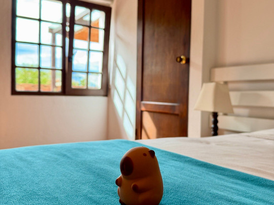 Hotel y Spa Getsemani主图