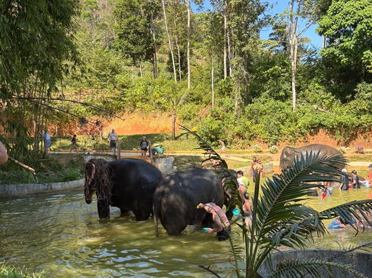 Infinity Divers-普吉岛必去景点