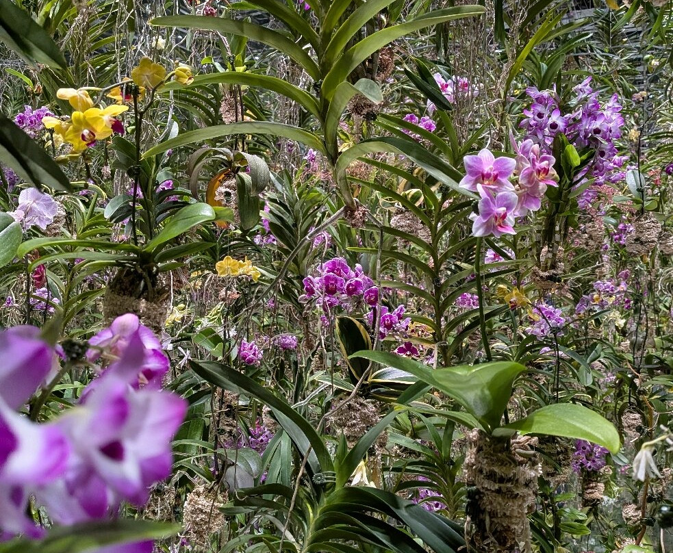teamLab Planets TOKYO-Toyosu必去景点