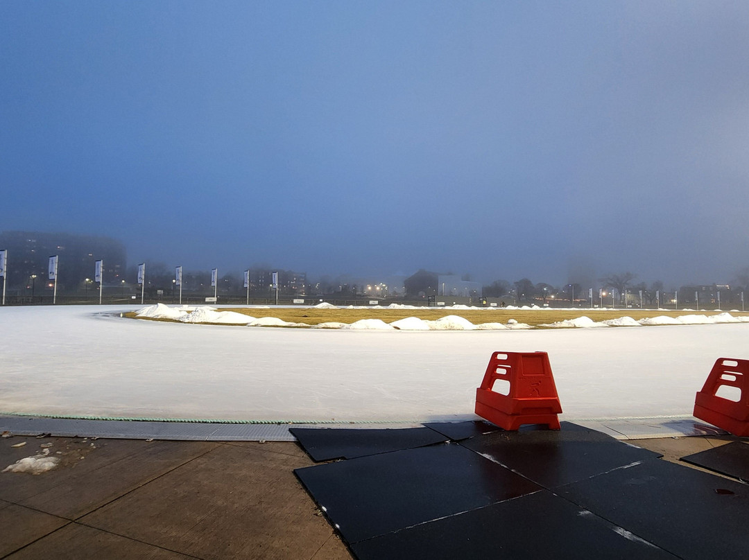 Emera Oval-哈利法克斯必去景点