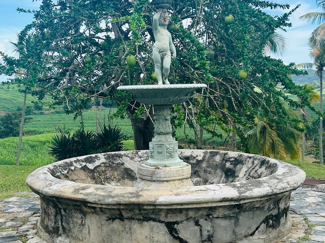 Rhums Baie Des Trésors-La Trinite必去景点