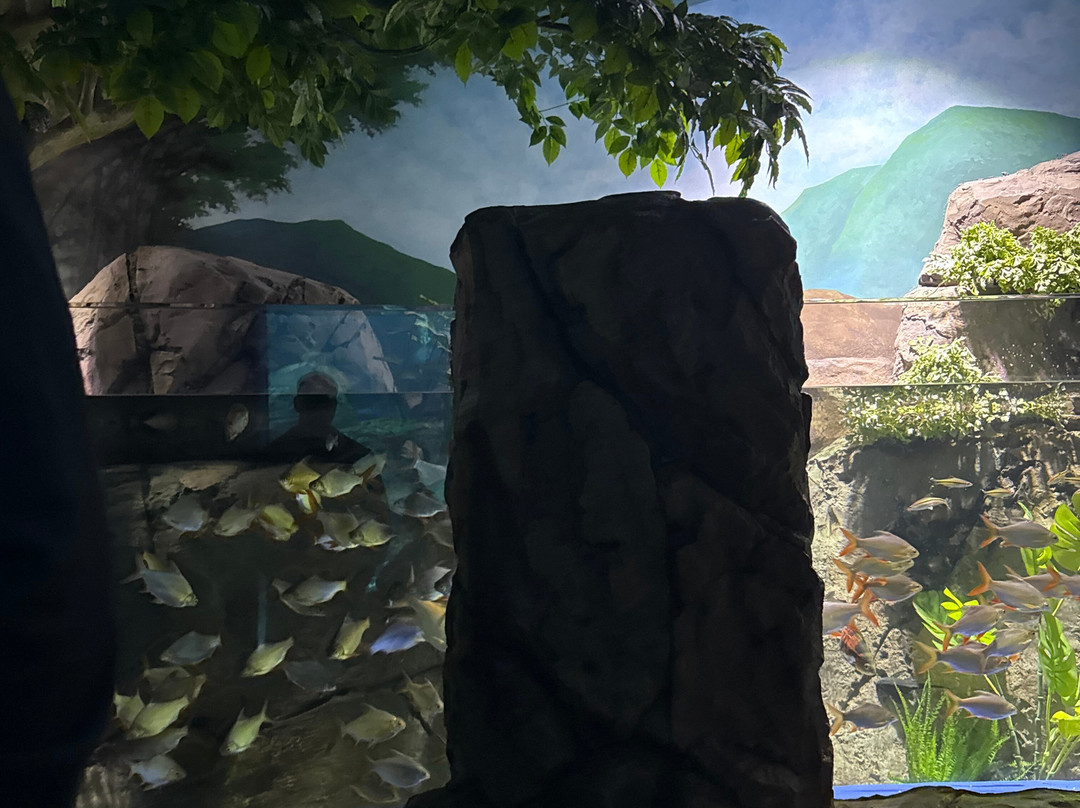 Marassi Aquarium & Underwater Zoo-Diyar Al Muharraq必去景点